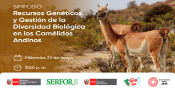  Simposio online  "Recursos Genéticos y Gestión de la Diversidad Biológica en los Camélidos Andinos" del SERFOR