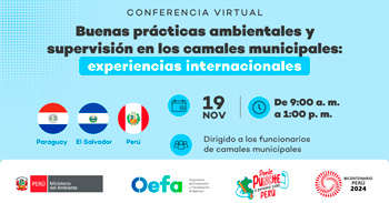 Conferencia online "Buenas prácticas ambientales y supervisión en los camales municipales" en la OEFA