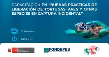 Curso presencial "Buenas Prácticas de Liberación de Tortugas, Aves y Otras Especies en Captura Incidental" 