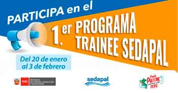 Programa Trainee SEDAPAL 2025