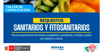 Taller online "Requisitos sanitarios y fitosanitarios para frutas congeladas"  de SENASA