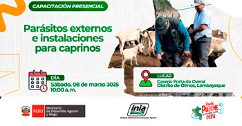 Capacitación presencial  "Parásitos externos e instalaciones para caprinos" del INIA