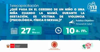  Capacitación online "Efectos de la Violencia Gestacional en el Cerebro Infantil" del MINSA