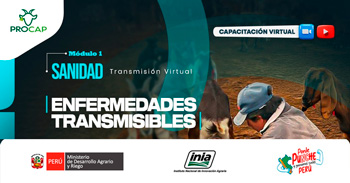 Capacitación online "Enfermedades transmisibles" del INIA