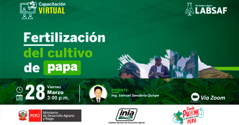 Capacitación online "Fertilización del cultivo de papa"  del INIA