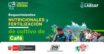 Capacitación online "Requerimientos nutricionales y fertilización del cultivo de café"  del INIA