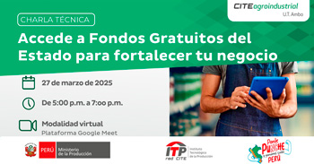   Charla online "Accede a fondos concursables gratuitos del Estado para fortalecer tu negocio" 