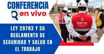 Conferencia online "Ley 29783 y su reglamento de seguridad y salud en el trabajo" de la SUNAFIL