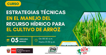 Curso presencial gratis " Estrategias Técnicas en el Manejo del Recurso Hídrico para el Cultivo de Arroz"