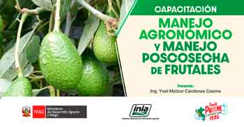 Curso presencial  "Manejo agronómico y manejo poscosecha de frutales" del INIA