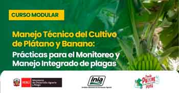 Curso presencial  "Manejo Integrado del Cultivo de Plátano y Banano" del INIA