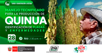 Curso presencial "Manejo tecnificado para la producción de quinua e identificación de plagas y enfermedad" 