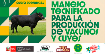 Curso presencial  "Manejo tecnificado para la producción de vacunos y cuyes" del INIA