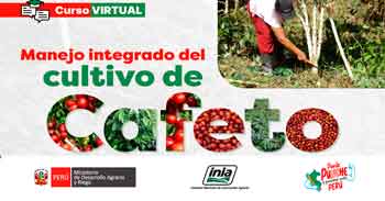 Curso online "Manejo Integrado del Cultivo de Cafeto" del INIA
