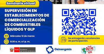 Seminario online " Supervisión en establecimientos de comercialización de combustibles líquidos y GLP "
