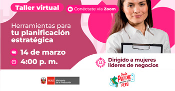 Taller  online "Herramientas para tu planificación estratégica" del PRODUCE