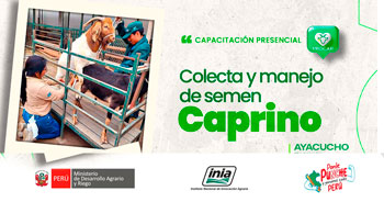 Capacitación presencial  "Colecta y manejo de semen caprino" del INIA