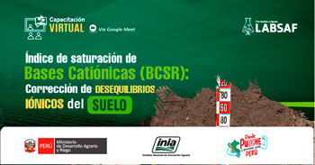 Capacitación online Índice de saturación de bases catiónicas (BCSR): Corrección de desequilibrios iónicos del suelo