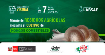 Capacitación online "Manejo de residuos agrícolas mediante el cultivo de hongos comestibles"  del INIA