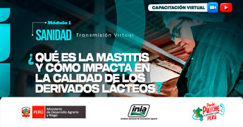 Capacitación online ¿Qué es la mastitis y cómo impacta en la calidad de los derivados lácteos?   del INIA