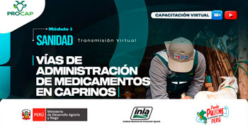 Capacitación online "Vías de administración de medicamentos en caprinos"  del INIA