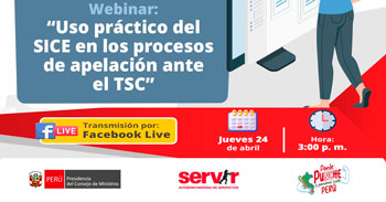 Conferencia online "Uso práctico del SICE en los procesos de apelación ante el TSC" del SERVIR 