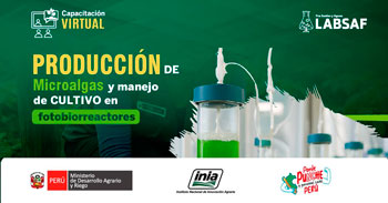 Curso online "Producción de microalgas y manejo de cultivos en fotobiorreactores"del INIA