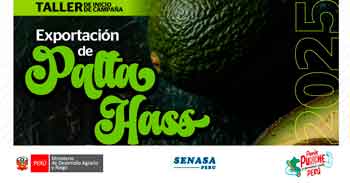 Taller presencial "Exportaciones de campaña de palta HASS"  de SENASA