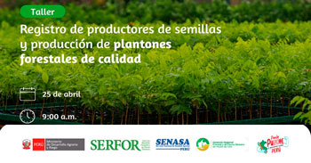 Taller semipresencial Registro de Productores de Semillas y Producción de Plantones Forestales de Calidad