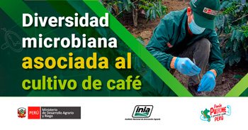 Curso online "Diversidad microbiana asociada al cultivo de café" del INIA
