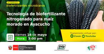  Evento online "Tecnología de biofertilizante nitrogenado para maíz morado en Ayacucho" del INIA
