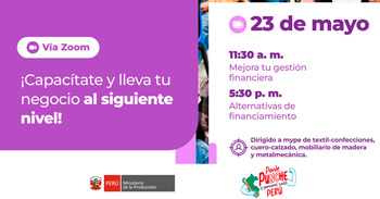 Taller online gratis "Tema PNTE-Capacitacitaciones Programa Nacional Tu Empresa-Ministerio de la Producción" 
