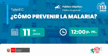  Capacitación online "¿Cómo prevenir la malaria?" del  MINSA