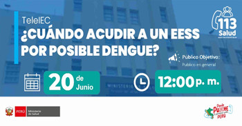 Capacitación virtual "¿Cuándo acudir a un EESS por posible Dengue?" del MINSA