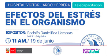  Capacitación online "Efectos del estrés en el Organismo" del Hospital Víctor Larco Herrera