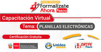  Capacitación online gratis "Planillas electrónicas" de la DRTPE Pasco
