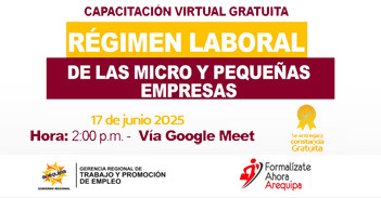  Capacitación online gratis "Régimen Laboral de las Micro y Pequeñas Empresas"  