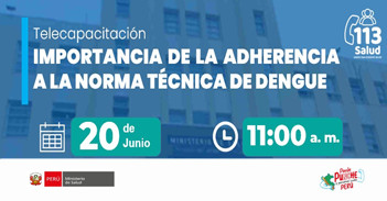 Capacitación virtual  "Importancia de la Adherencia a la Norma Técnica de Dengue" del MINSA