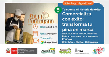  Charla online Te cuento mi historia de éxito: Comercializa con éxito: transforma tu piña en marca 