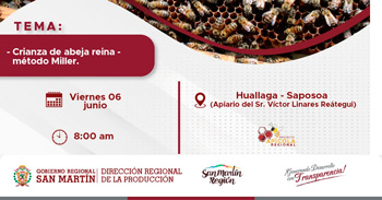  Evento presencial Crianza de abeja reina - Método Miller de la Dirección Regional de la Producción San Martín