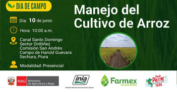 Evento presencial "Manejo del Cultivo de Arroz" del INIA