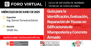 Foro online "Guía para la identificación, evaluación y reparación de fisuras en edificaciones de mampostería"