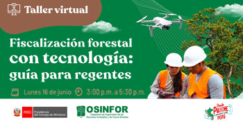 Taller online "Fiscalización con tecnología: guía para regentes" del OSINFOR 