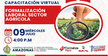  Capacitación online "Formalización Laboral Sector Agrícola" de la DRTPE Amazonas