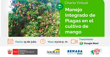  Charla online "Manejo Integrado de Plagas en el cultivo de mango" de Agro Rural