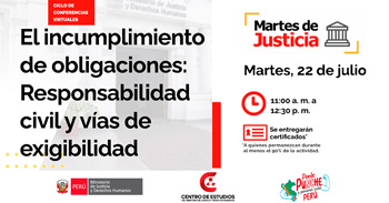  Conferencia online "El incumplimiento de obligaciones: Responsabilidad civil y vías de exigibilidad" 