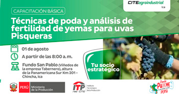  Capacitación presencial gratis "Escuela de campo respecto a las técnicas de poda en uvas pisqueras"