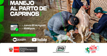  Capacitación online "Manejo al parto de caprinos"  del INIA