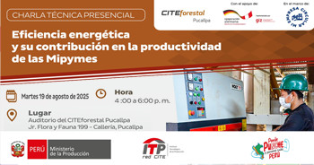 Charla presencial "Eficiencia energética y su contribución en la productividad de las Mipymes"  