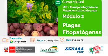  Curso online "Manejo Integrado de Plagas en cultivo de papa Módulo 2: Plagas fitopatógenas"  de Agro Rural